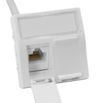 Adapter 2xRJ45 45×45